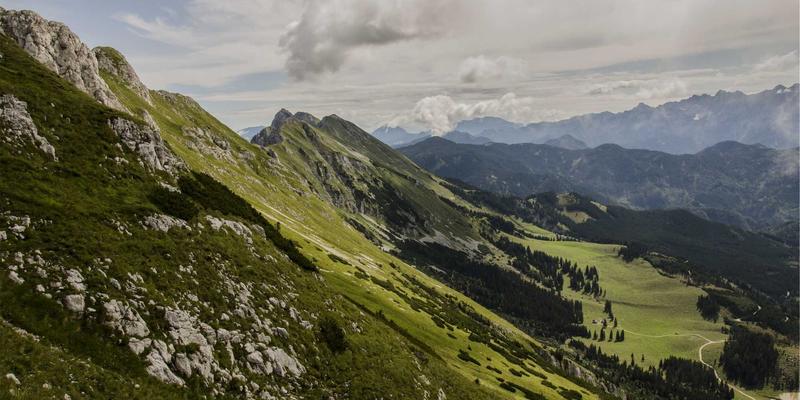 从“中国包装城”到全球货架：揭秘温州包装产业带如何赋能跨境电商