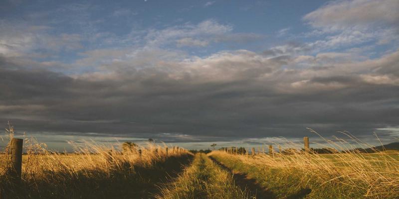 从价格战到价值战:温州包装行业协会如何通过区域标准重塑纸箱产业生态