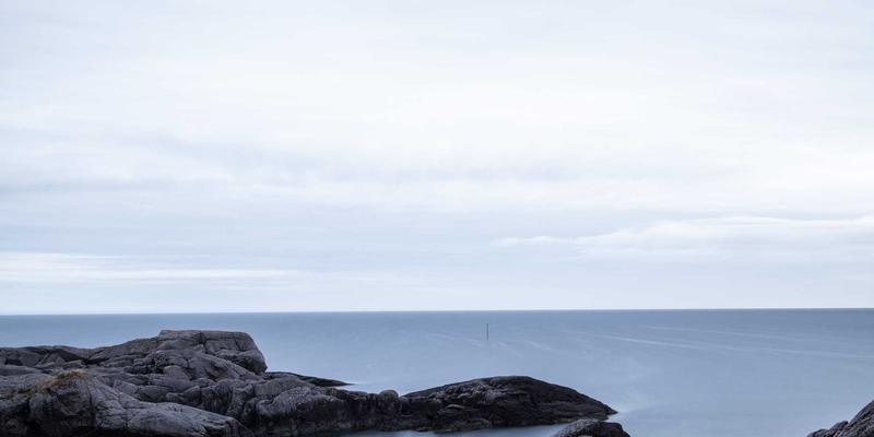 从彩盒纸箱到智慧入口：温州企业如何用RFID标签印刷撬动物联网包装新蓝海