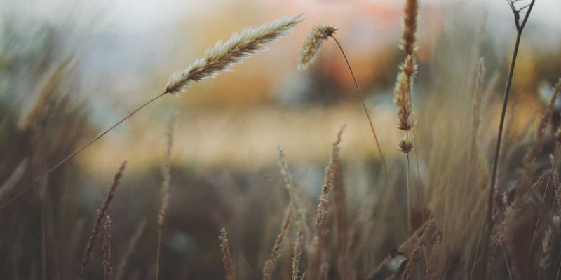 成本飙升！温州包装企业破局之道：纸箱彩盒原材料上涨的五大应对策略