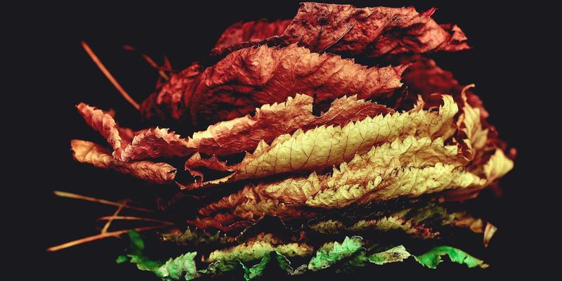 温州包装如何赋能跨境电商？小批量、快反应的定制化彩盒解决方案正成为出海新引擎