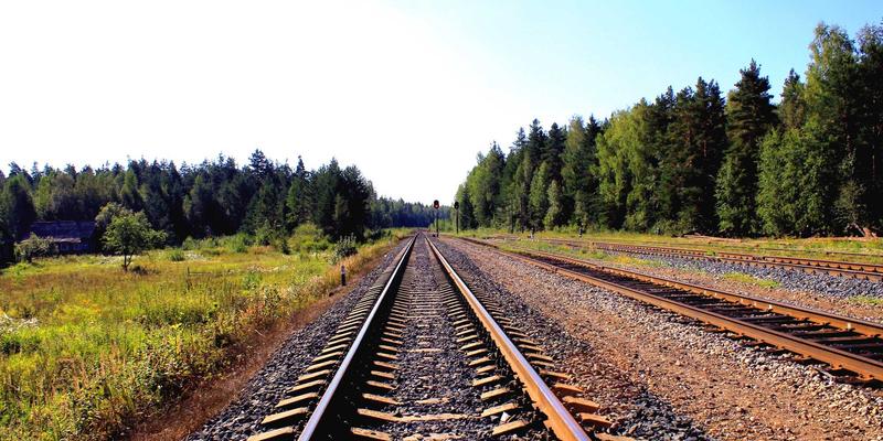 温州包装设计赋能新国货:彩盒美学如何助力本土品牌价值提升与出海?
