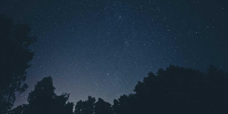 破局成本困局：温州包装企业如何锻造供应链韧性，智对纸箱原材料价格波动